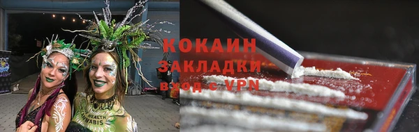 гашик Балахна