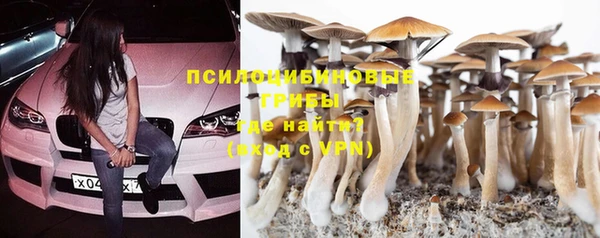 гашик Балахна