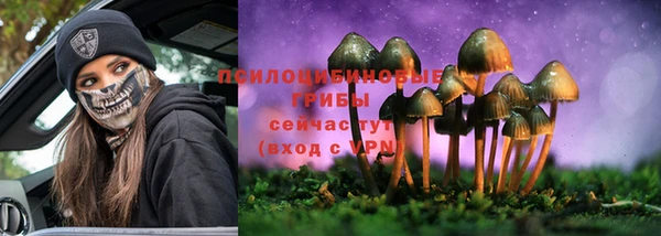 гашик Балахна