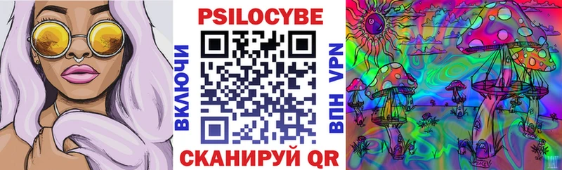 где найти   Краснослободск  Псилоцибиновые грибы мухоморы 